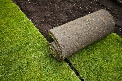 TurfStore Lawn Shade Turf Roll - 1m²