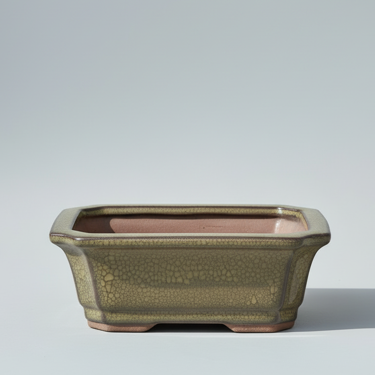 Yorkshire Bonsai Green Glazed Bonsai Pot Rectangle - 12cm