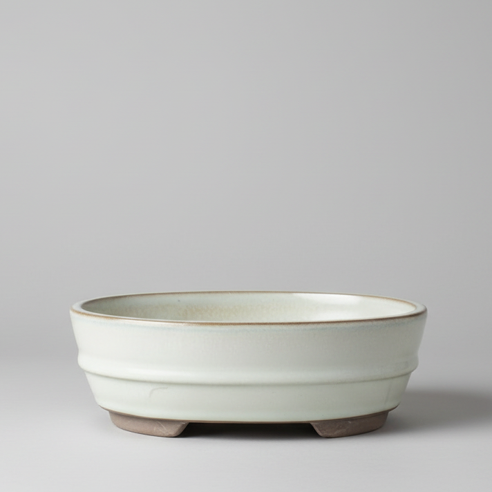 Yorkshire Bonsai White Glazed Bonsai Pot Oval - 16cm