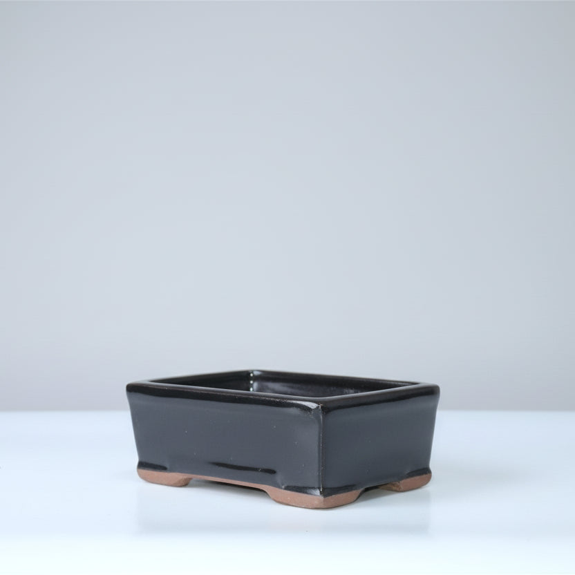 Yorkshire Bonsai Black Glazed Rectangle Bonsai Pot - 16cm