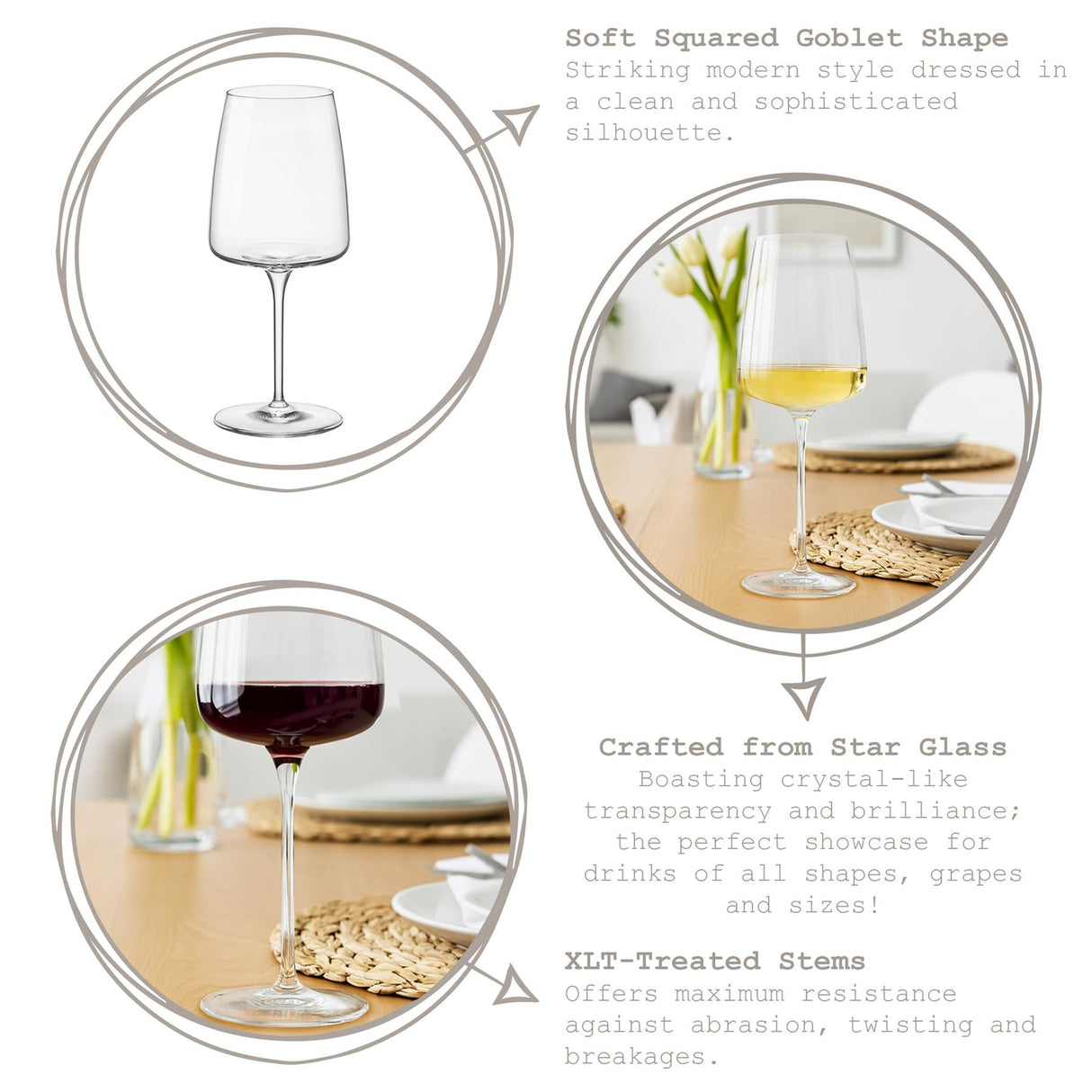 Rinkit Nexo Glassware Set - 12 Piece