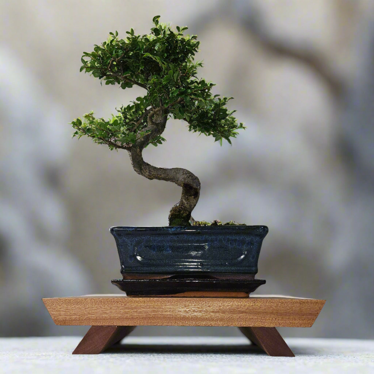 Yorkshire Bonsai Handcrafted Mahogany Bonsai Stand