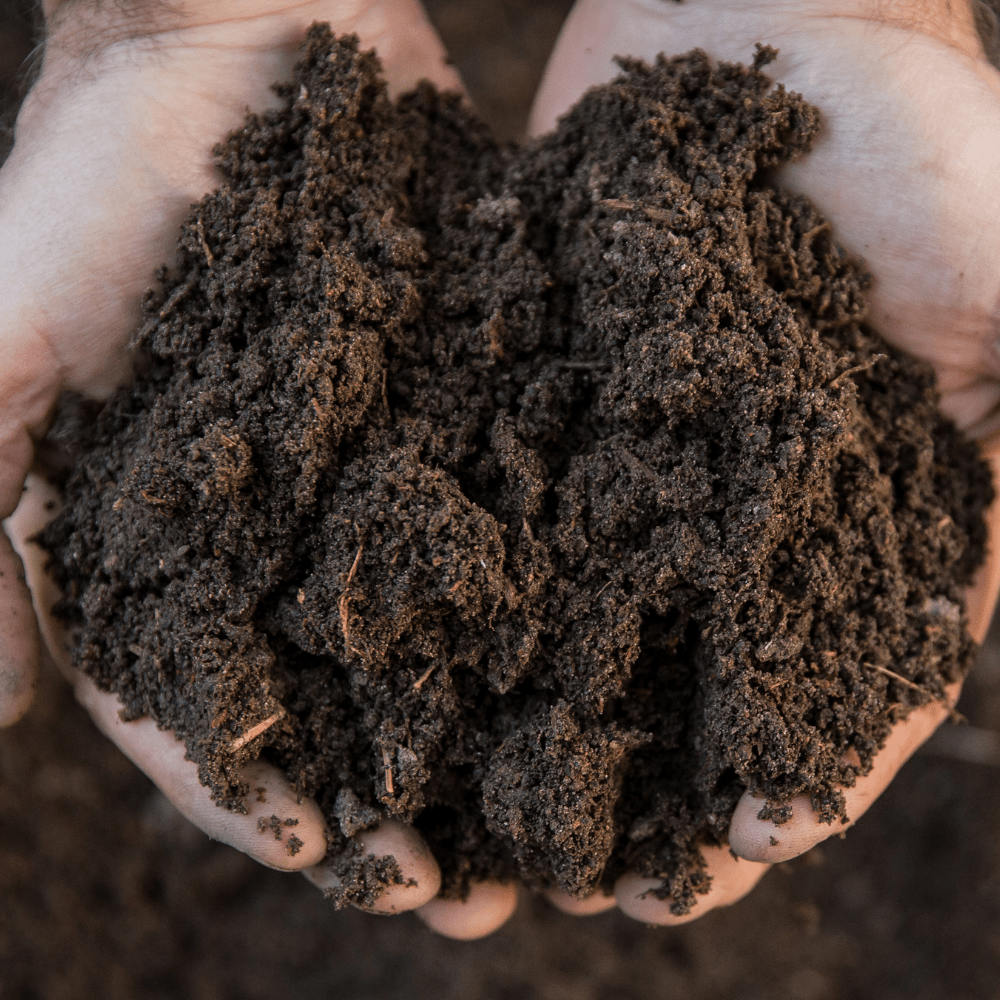 Dandy's Premium Welsh Topsoil
