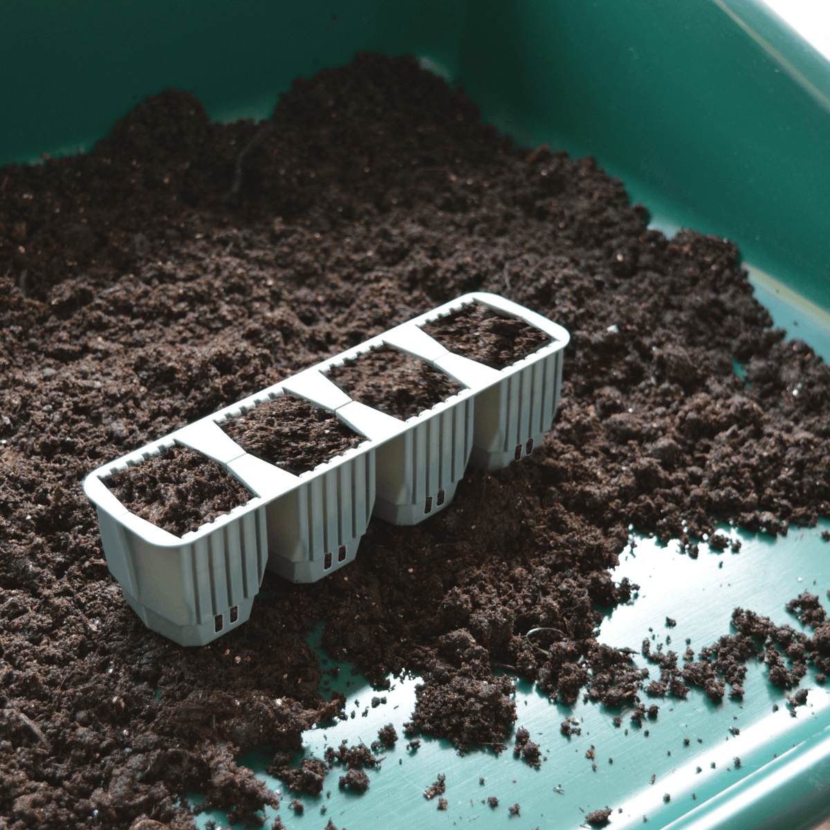 AllotMate Essentials 24 Cell Self-Watering Seed Success Kit Propagator