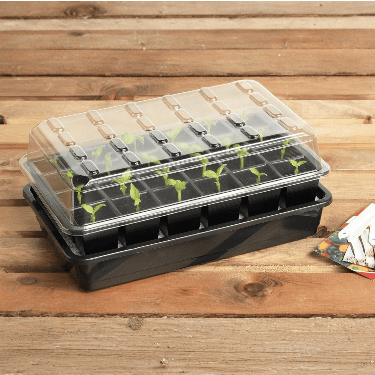 AllotMate Essentials 24 Cell Self-Watering Seed Success Kit