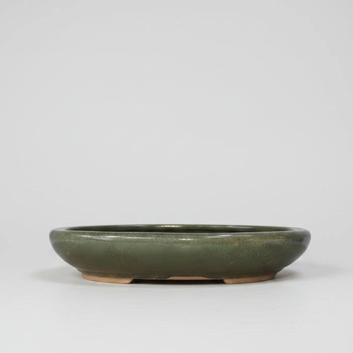 Yorkshire Bonsai Oval Glazed Bonsai Pot Green - 25cm