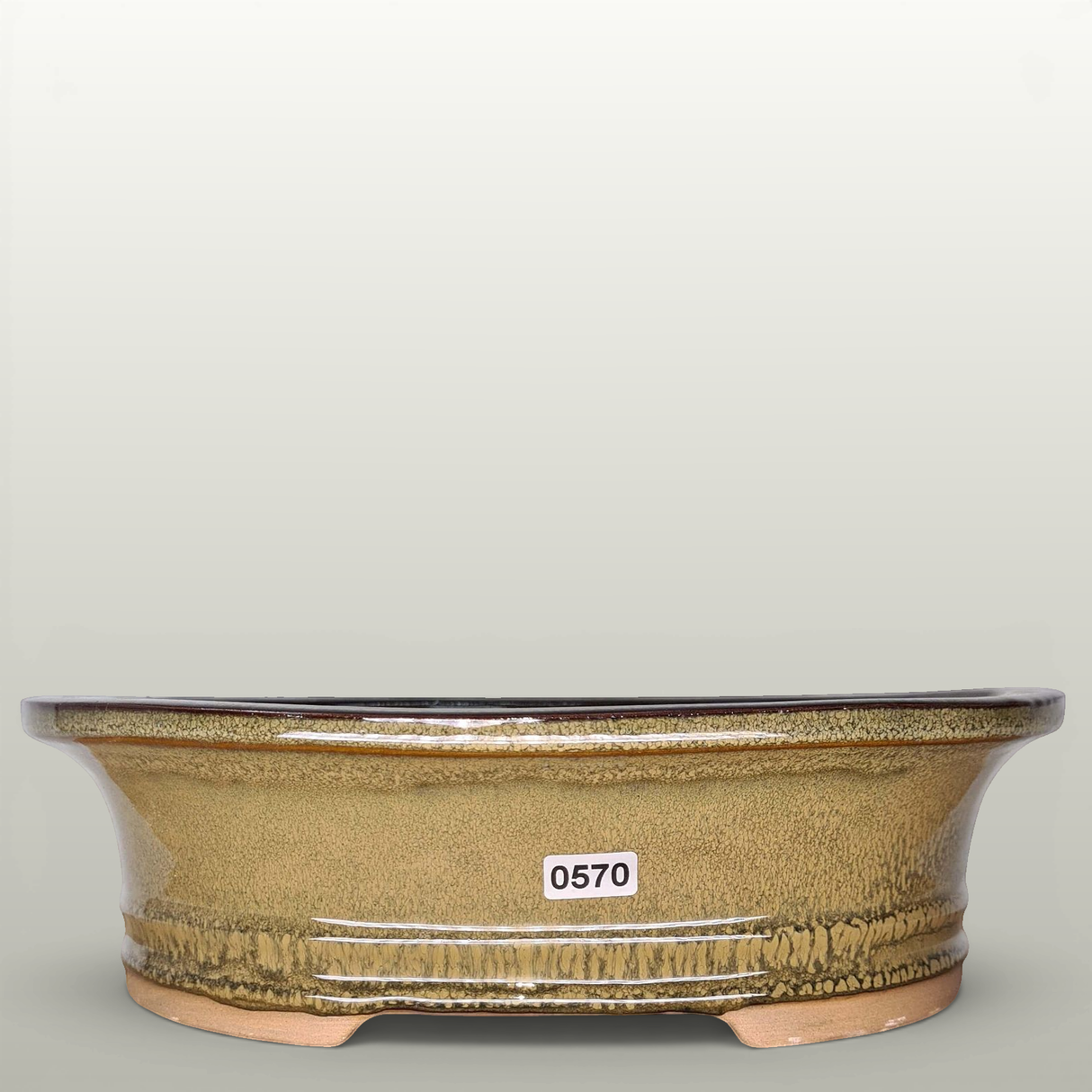 Yorkshire Bonsai Green Glazed Oval Bonsai Pot - 27cm