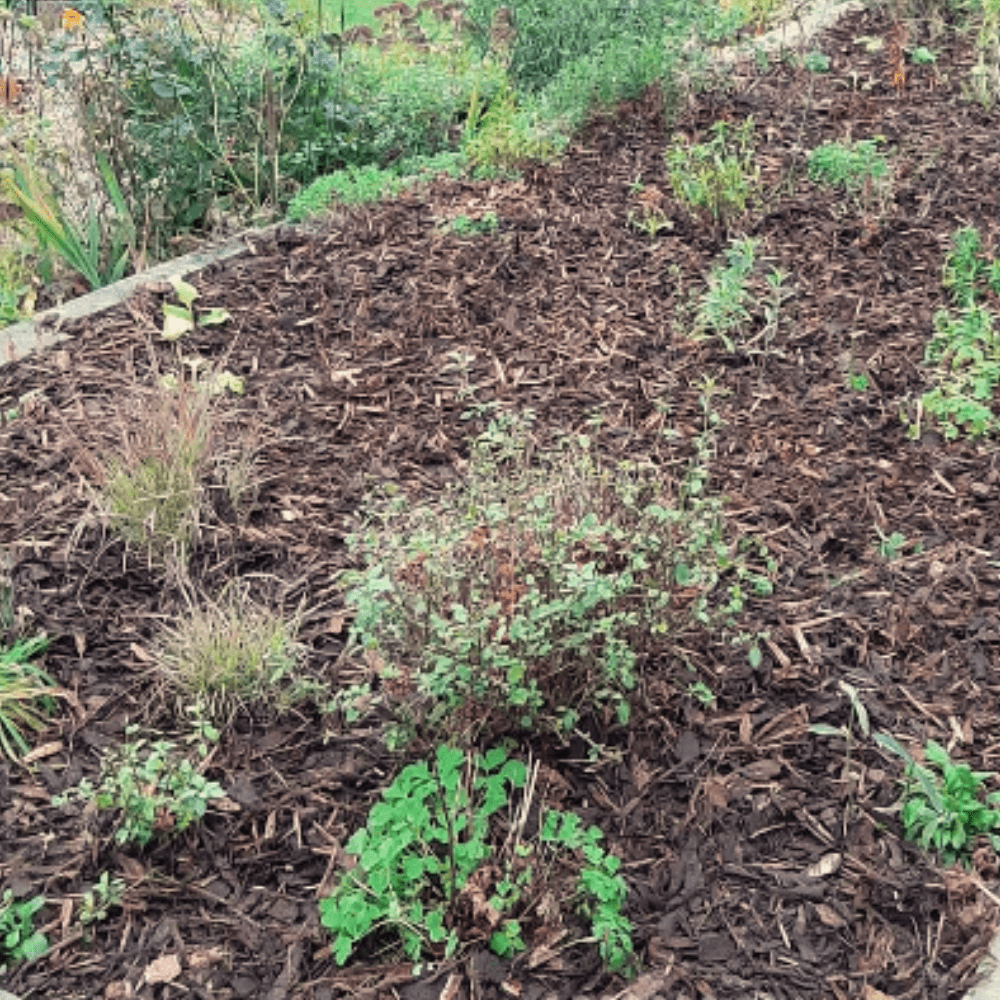 Dandy’s Landscaping Garden Bark Mulch