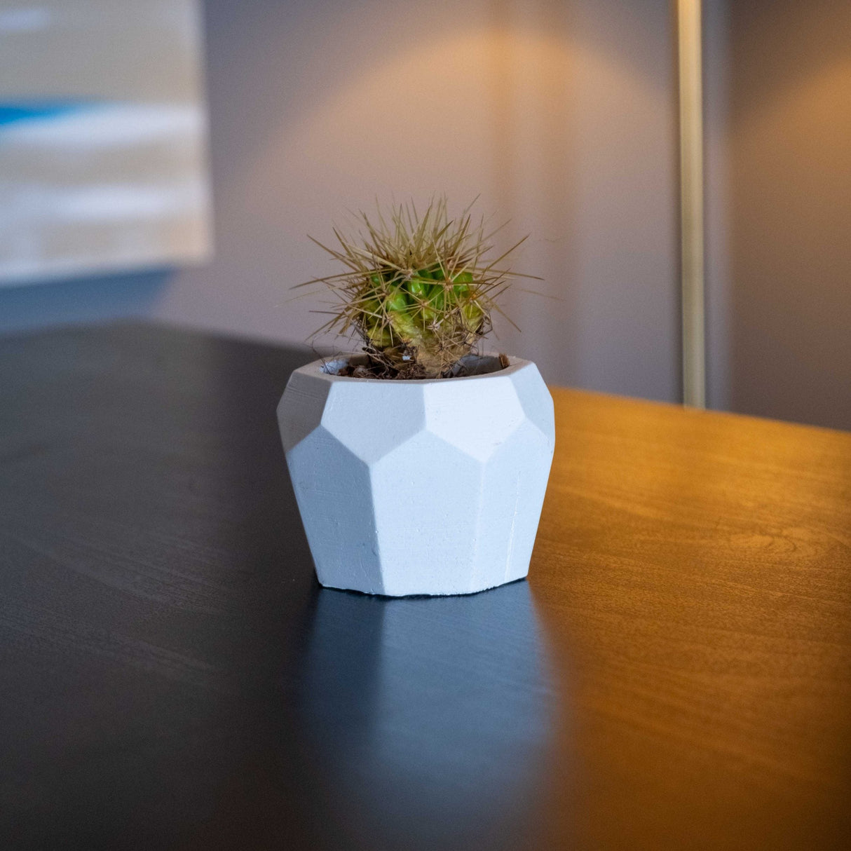 Gloria Home White Concrete Bee Home Pot