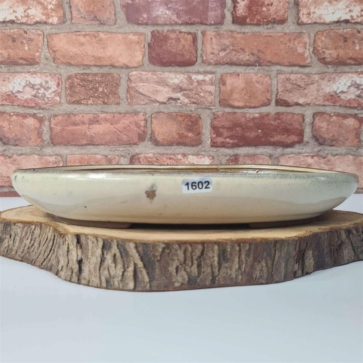 Yorkshire Bonsai White Glazed Oval Bonsai Pot Ceramic Planter - 31cm