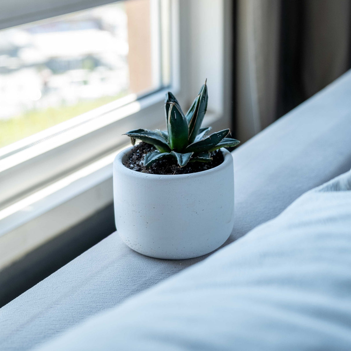 Gloria Home White Concrete Wiener Pot