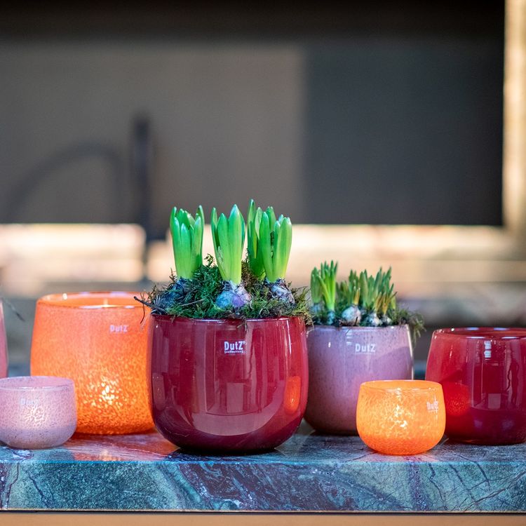 Lowlands Design Beige Glass Pot by DutZ