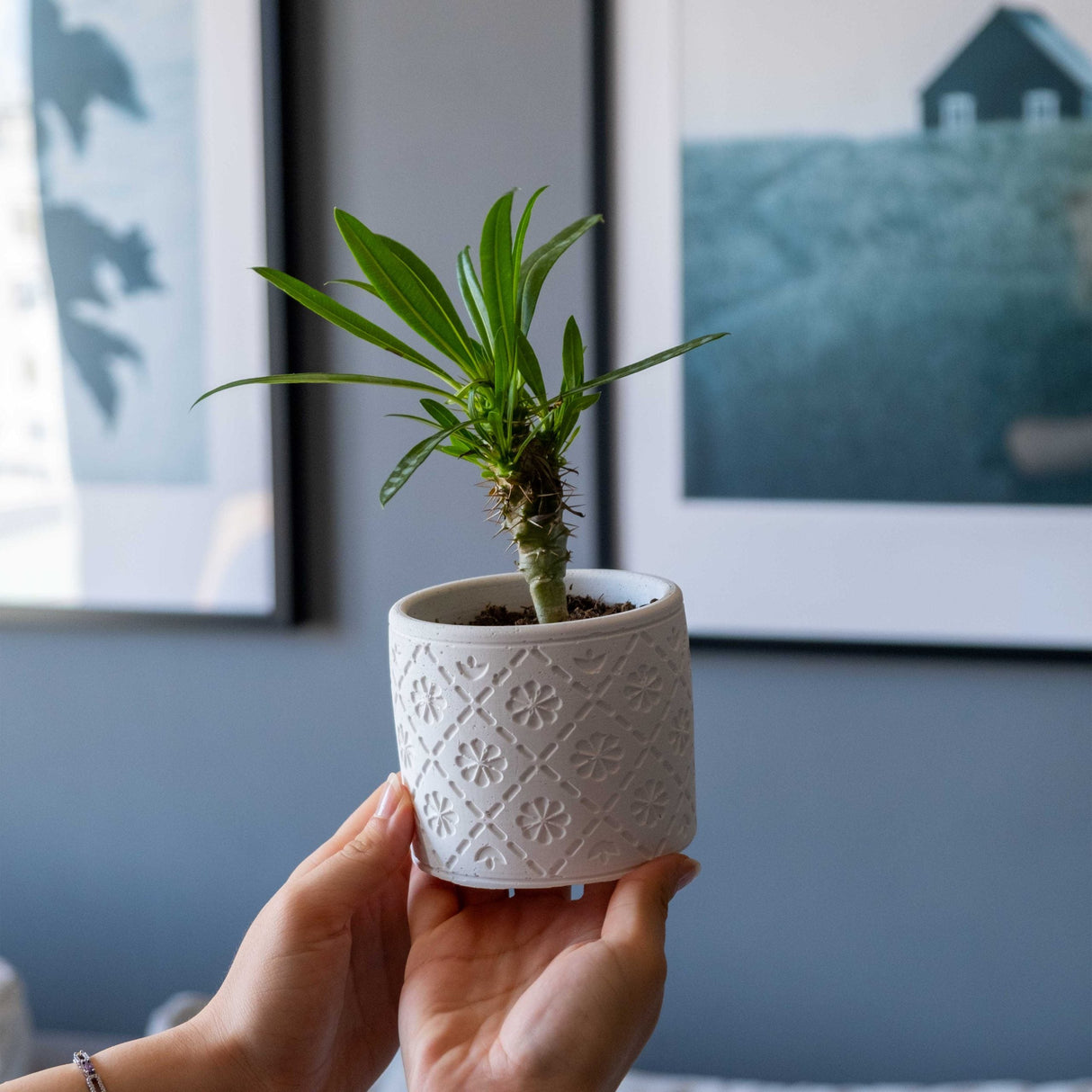 Gloria Home White Concrete Radius Plant Pot