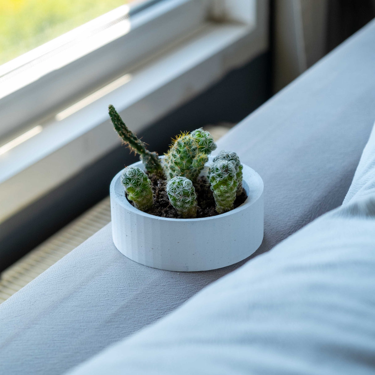 Gloria Home White Concrete Handle Plant Pot