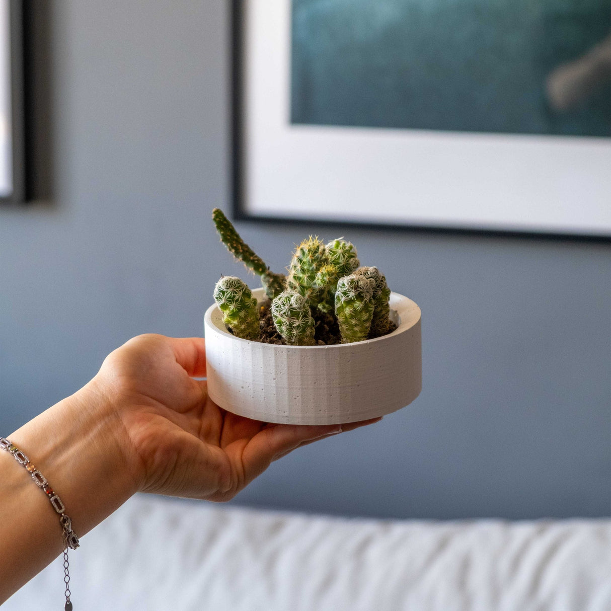 Gloria Home White Concrete Handle Plant Pot