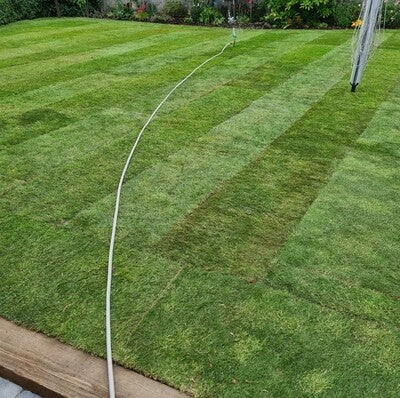 TurfStore Budget Lawn Turf Bulk Buy Rolls