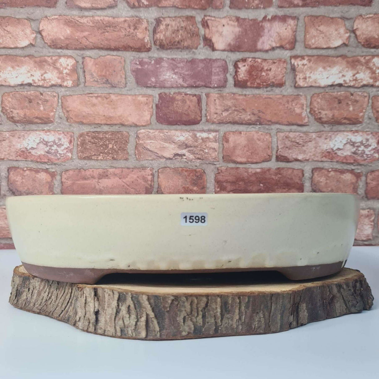 Yorkshire Bonsai White Glazed Oval Bonsai Pot - 38cm
