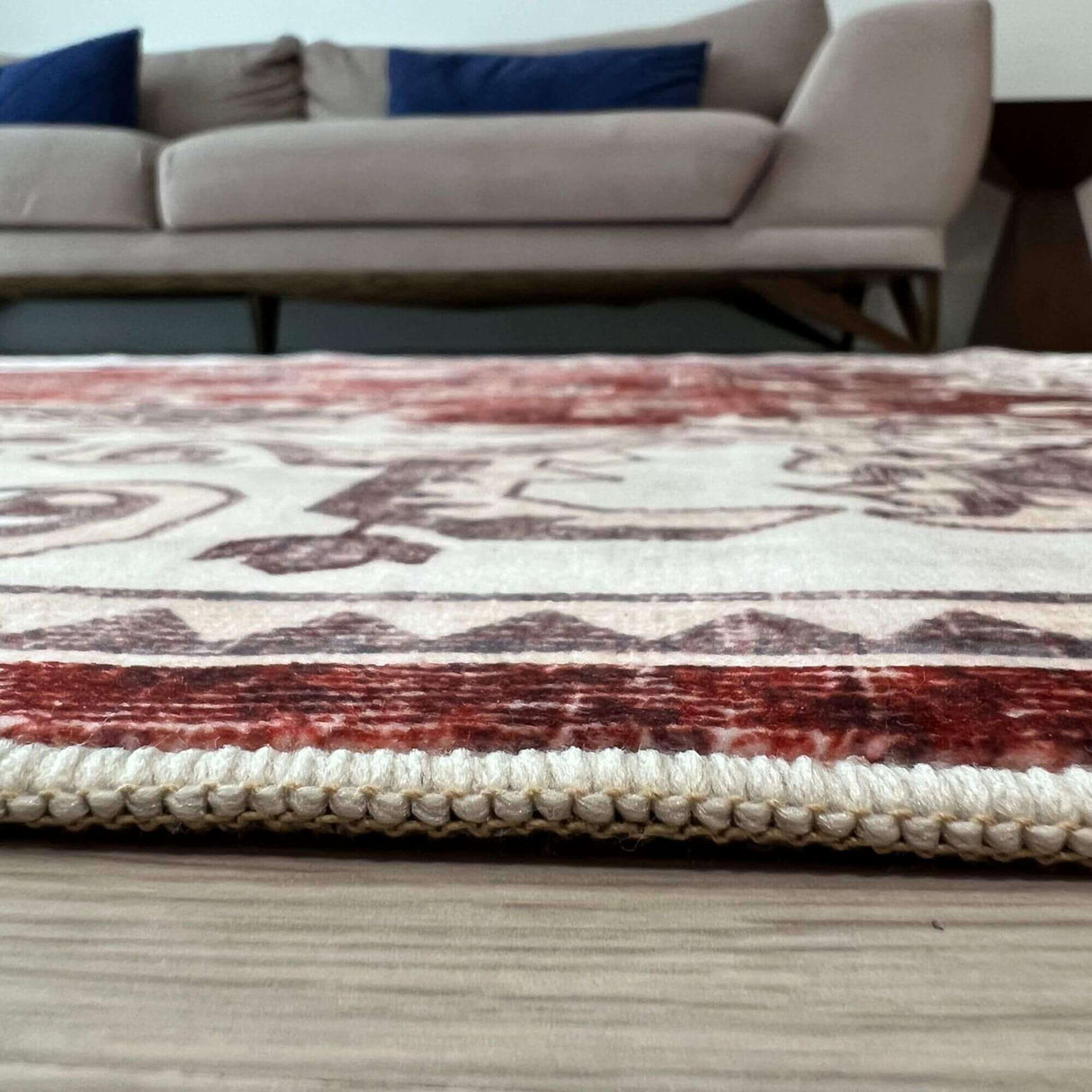 Jasru Vintage Washable Rug | The Rugs