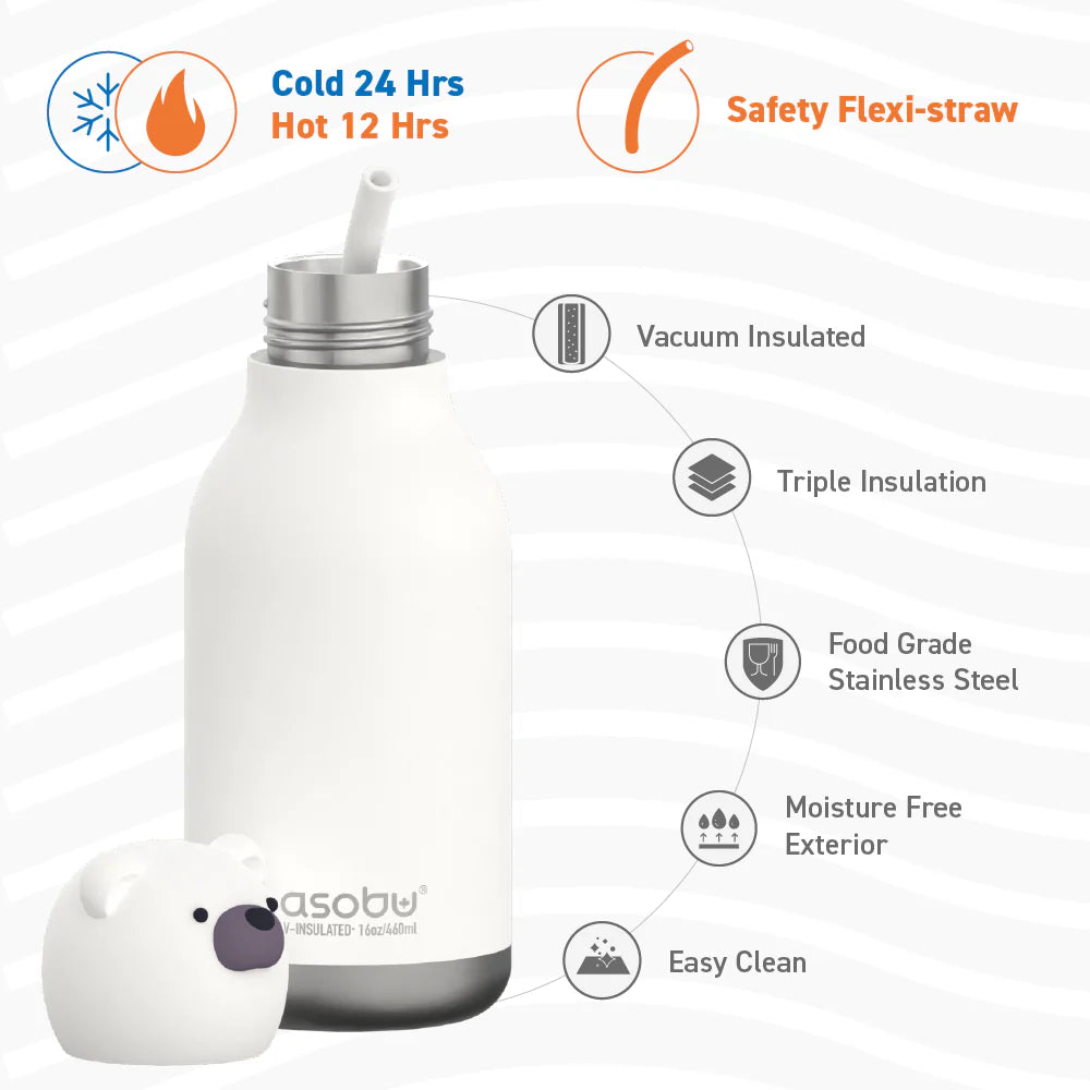 Asobu Teddy Bear Bestie Bottle , 460ml