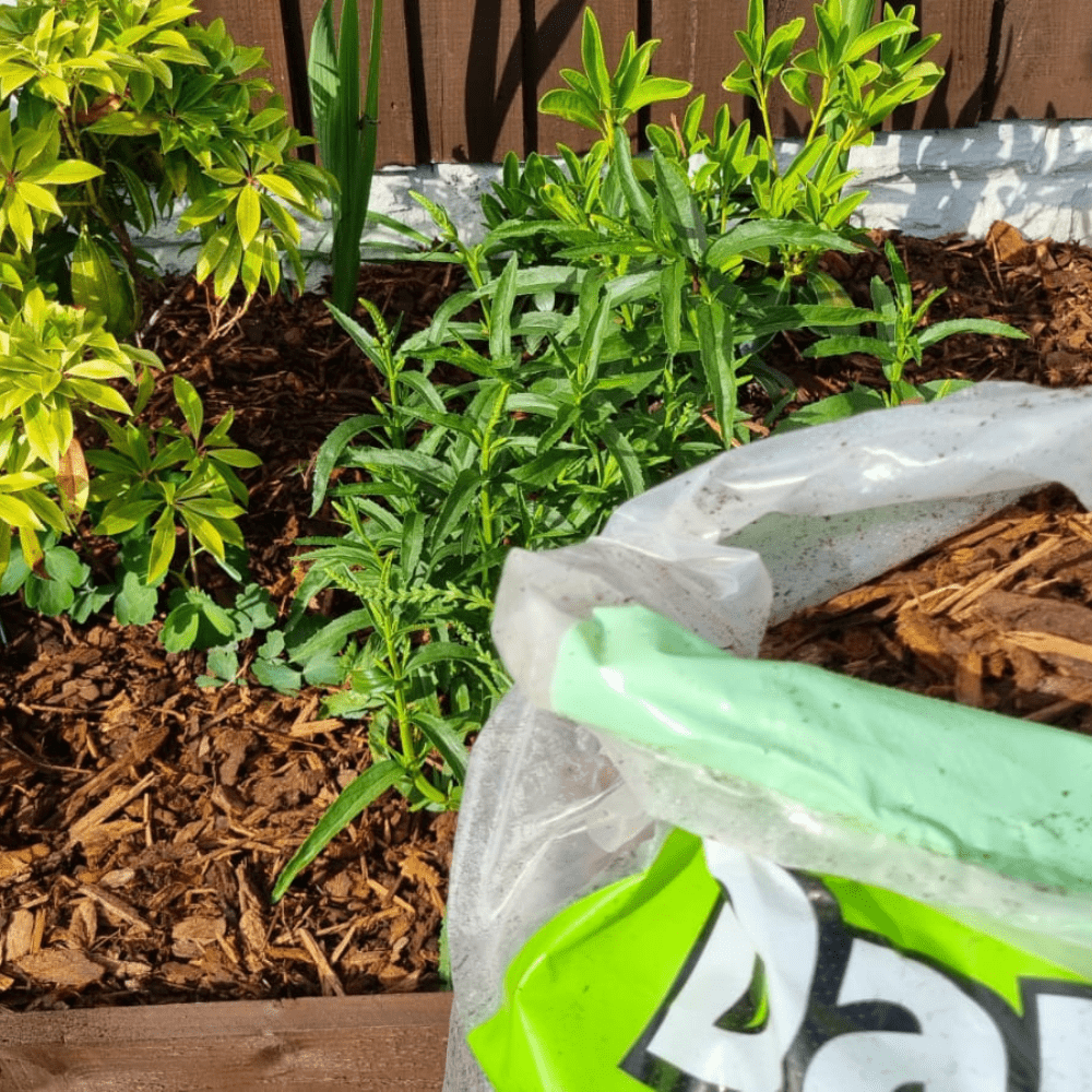 Dandy’s Premium Border Landscaping Bark Mulch