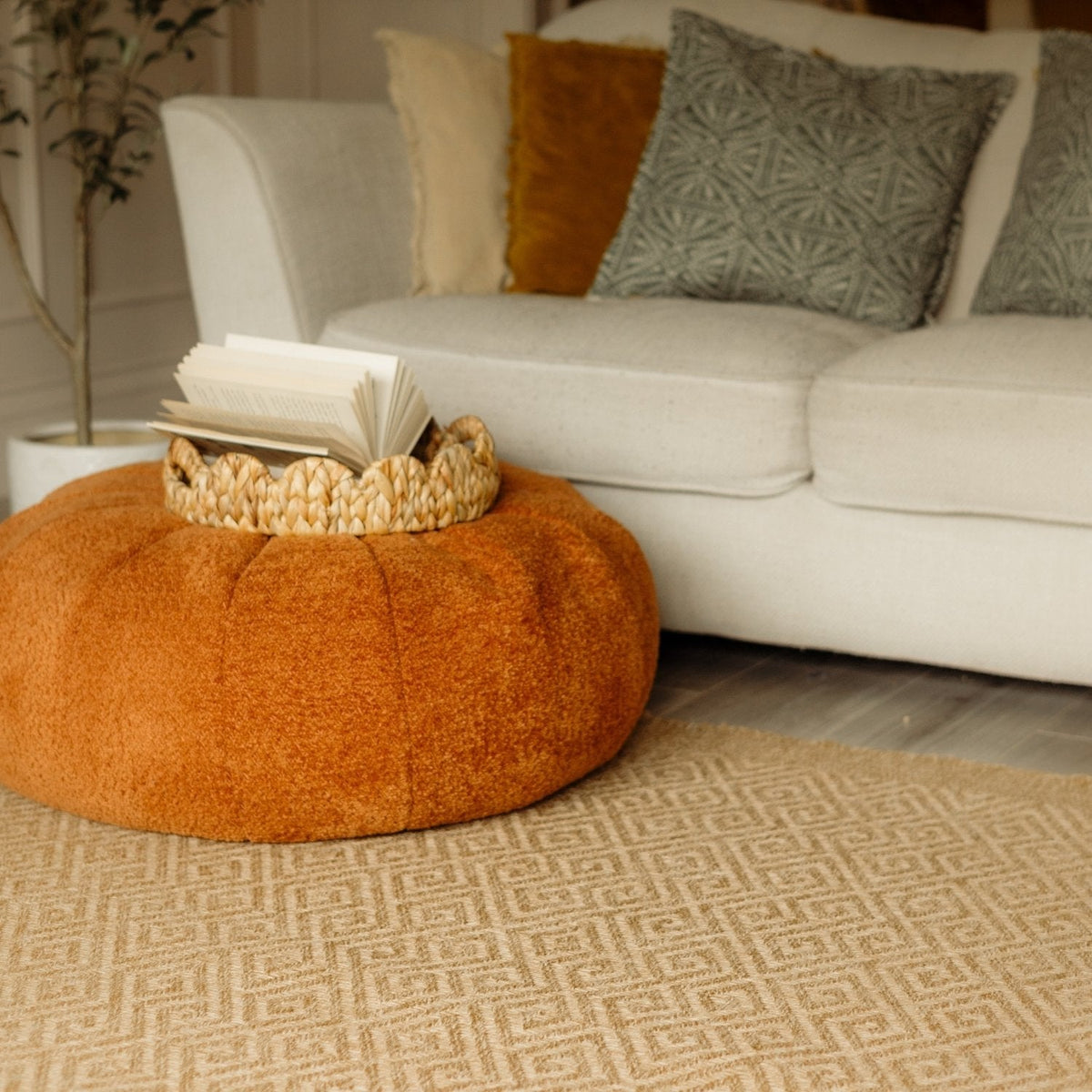 Nature Outdoor Rug Neutral 5100N by The Rugs
