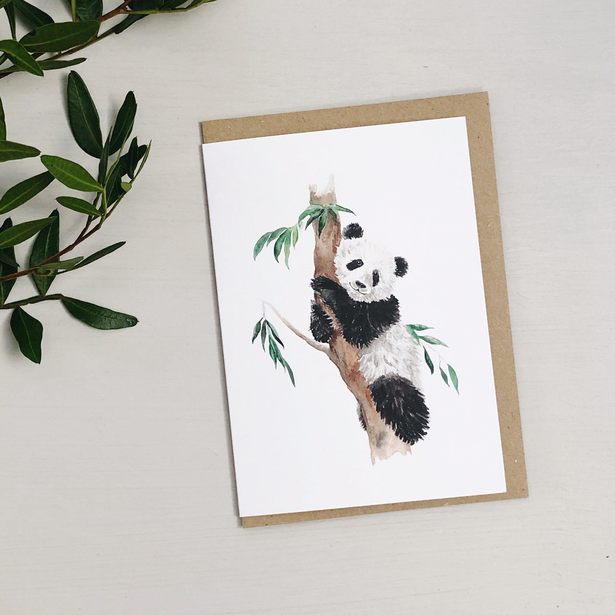 Panda Bear Hand Painted Greetings Card | Katie Hipwell Design