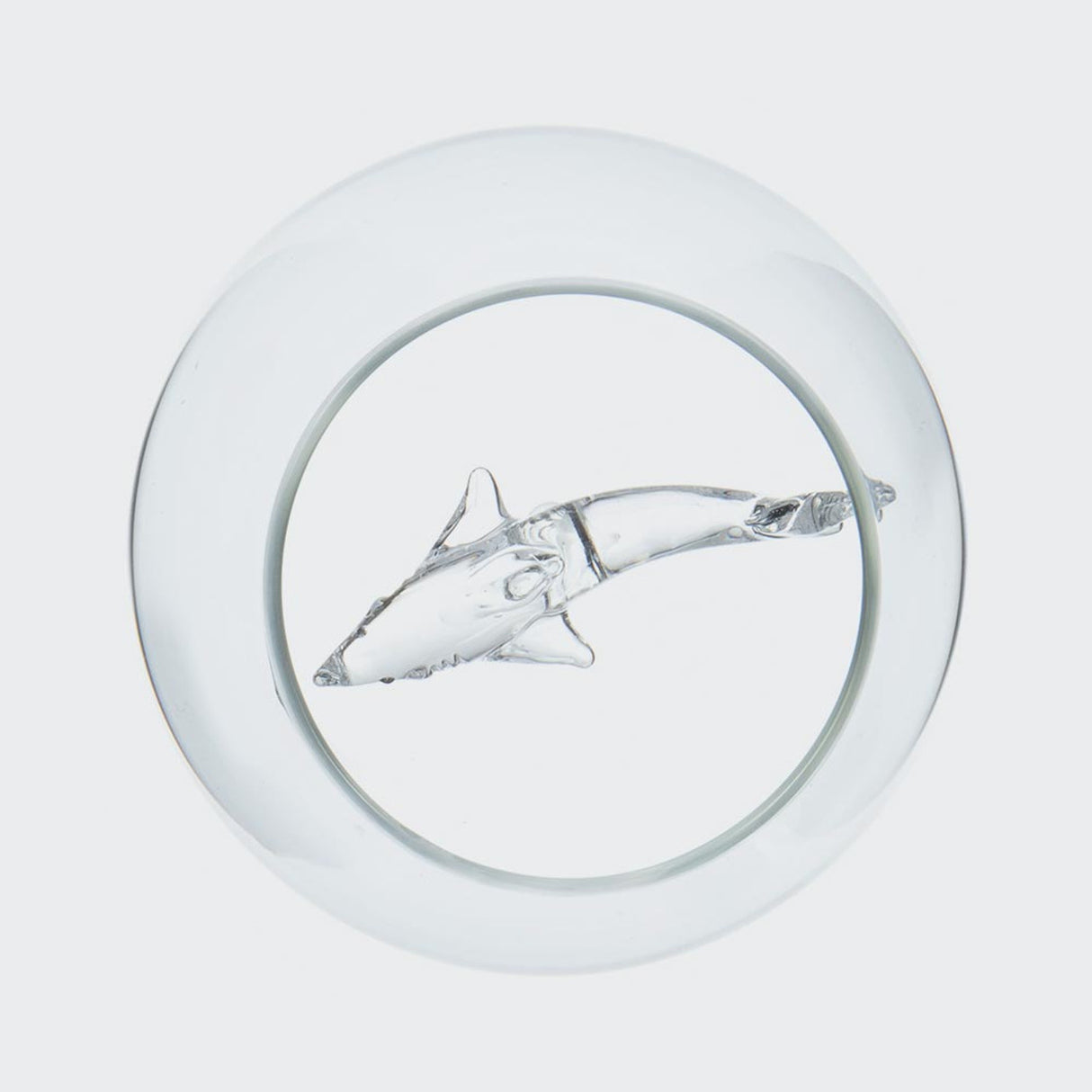 Jeray Bar Bespoke Shark In A Glass Tumbler, 550ml