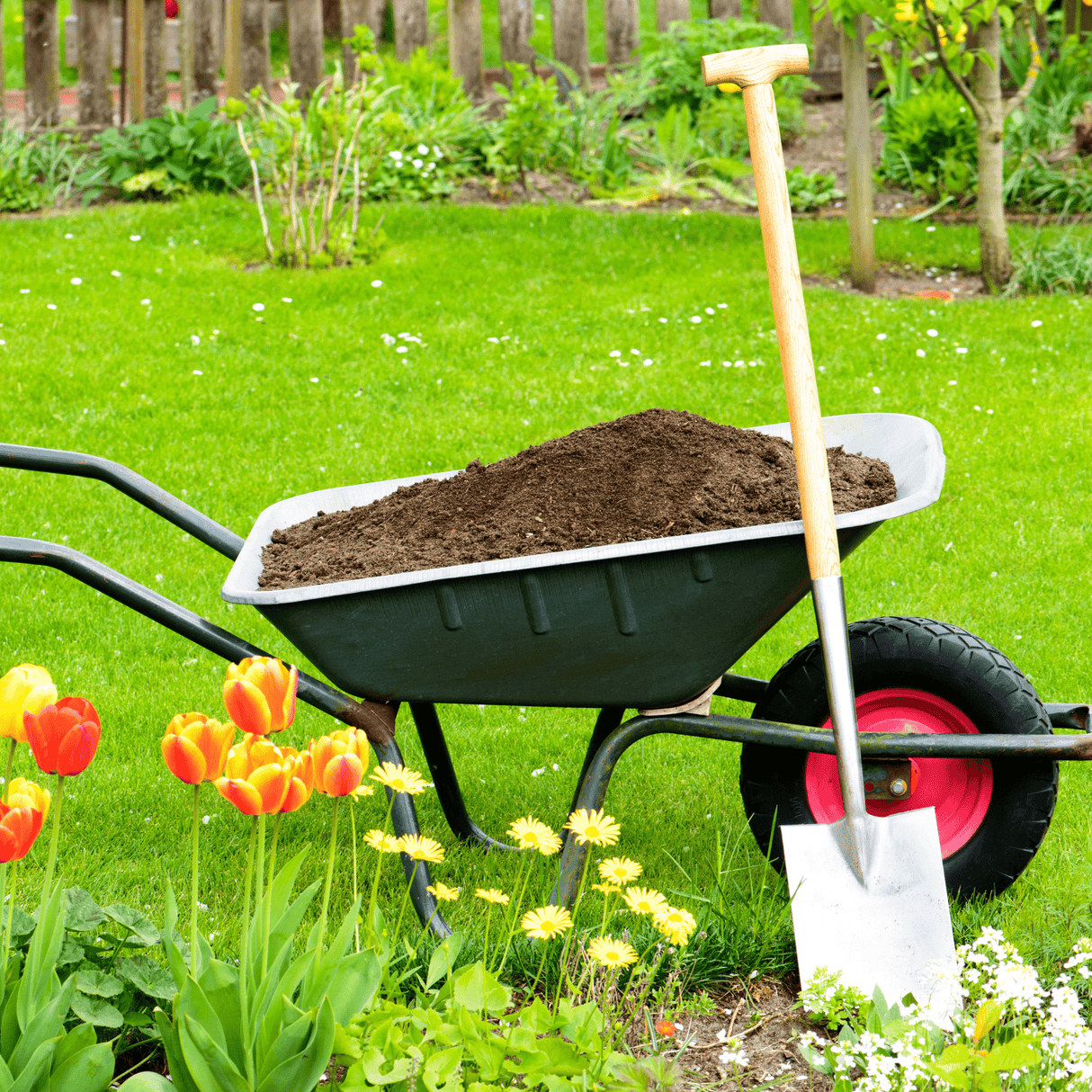 Dandy’s Summermix Compost Garden Mulch