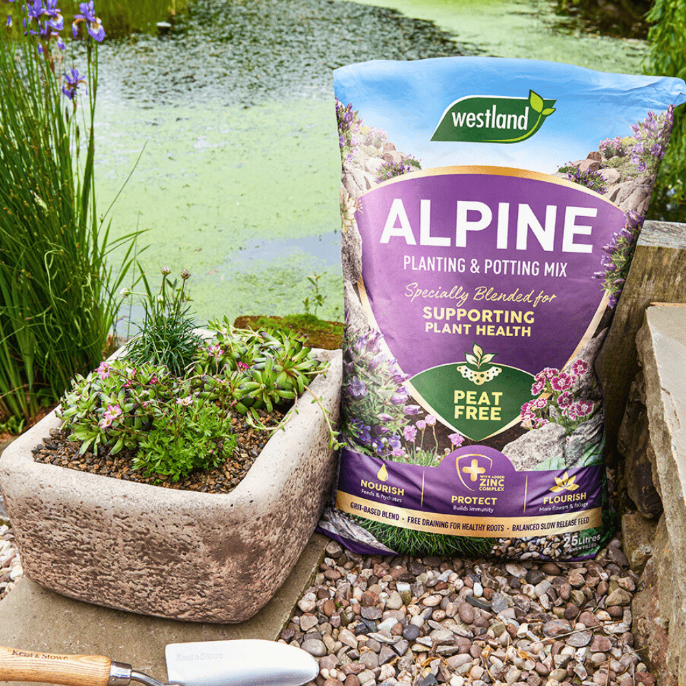 Dandy's Alpine Planting & Potting Mix 25L Bulk Buy for Alpine Plants