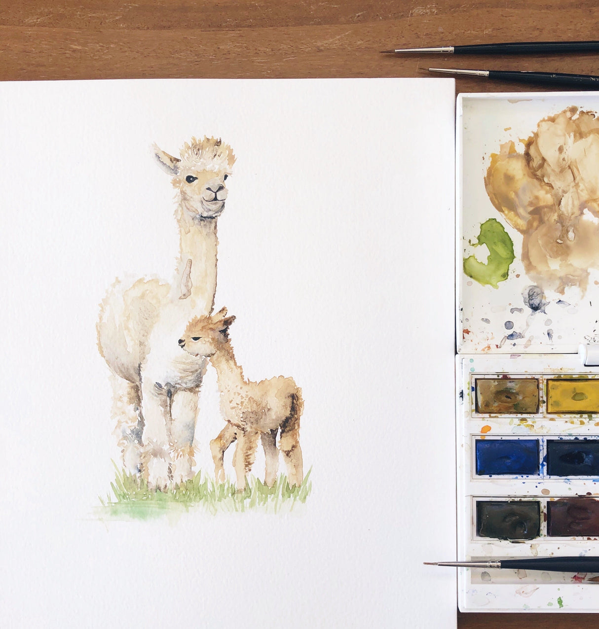 Alpaca New Baby Greetings Card Katie Hipwell Design