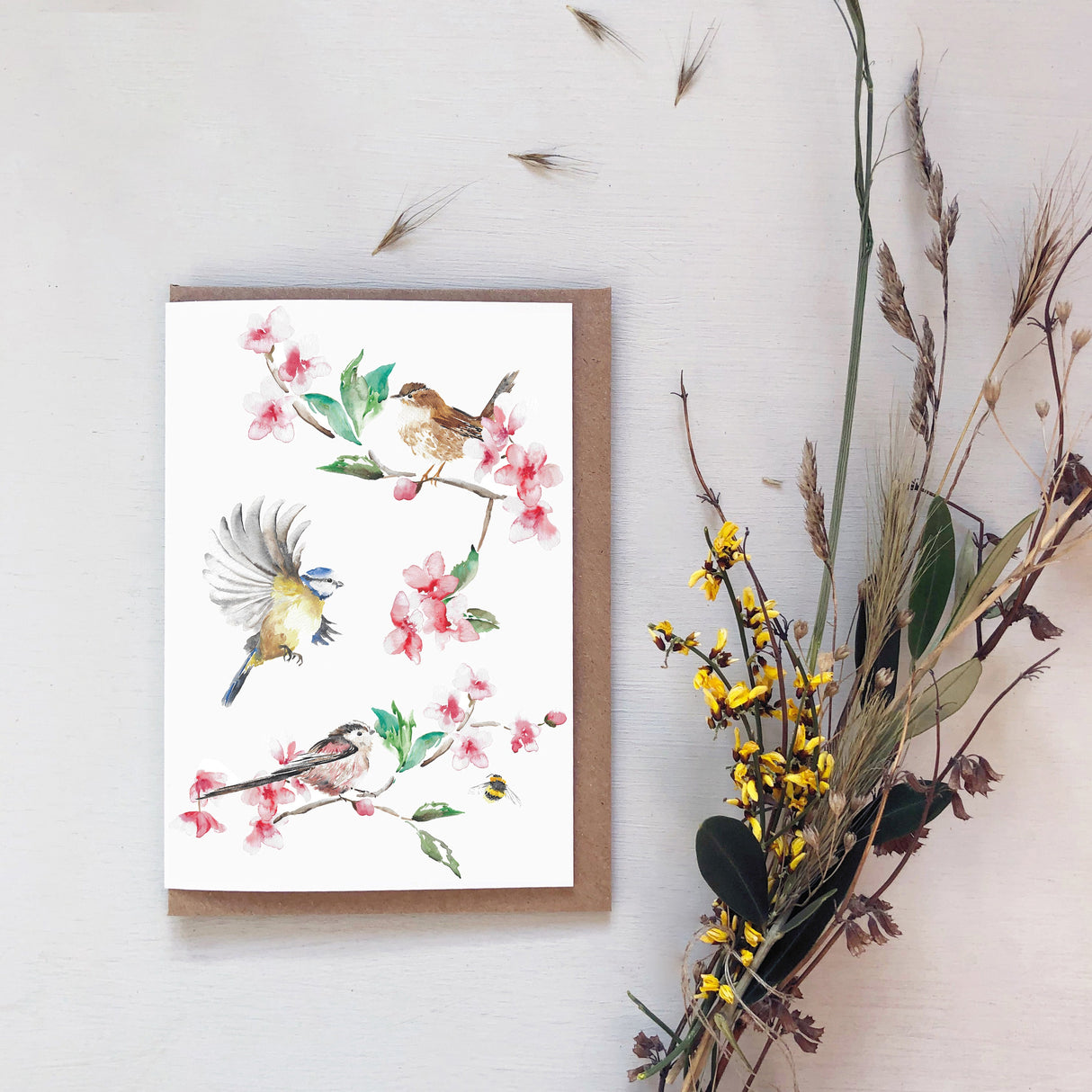 Garden Bird Robin & Wren Greeting Card | Katie Hipwell Design