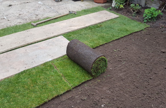 TurfStore Budget Lawn Turf Bulk Buy Rolls