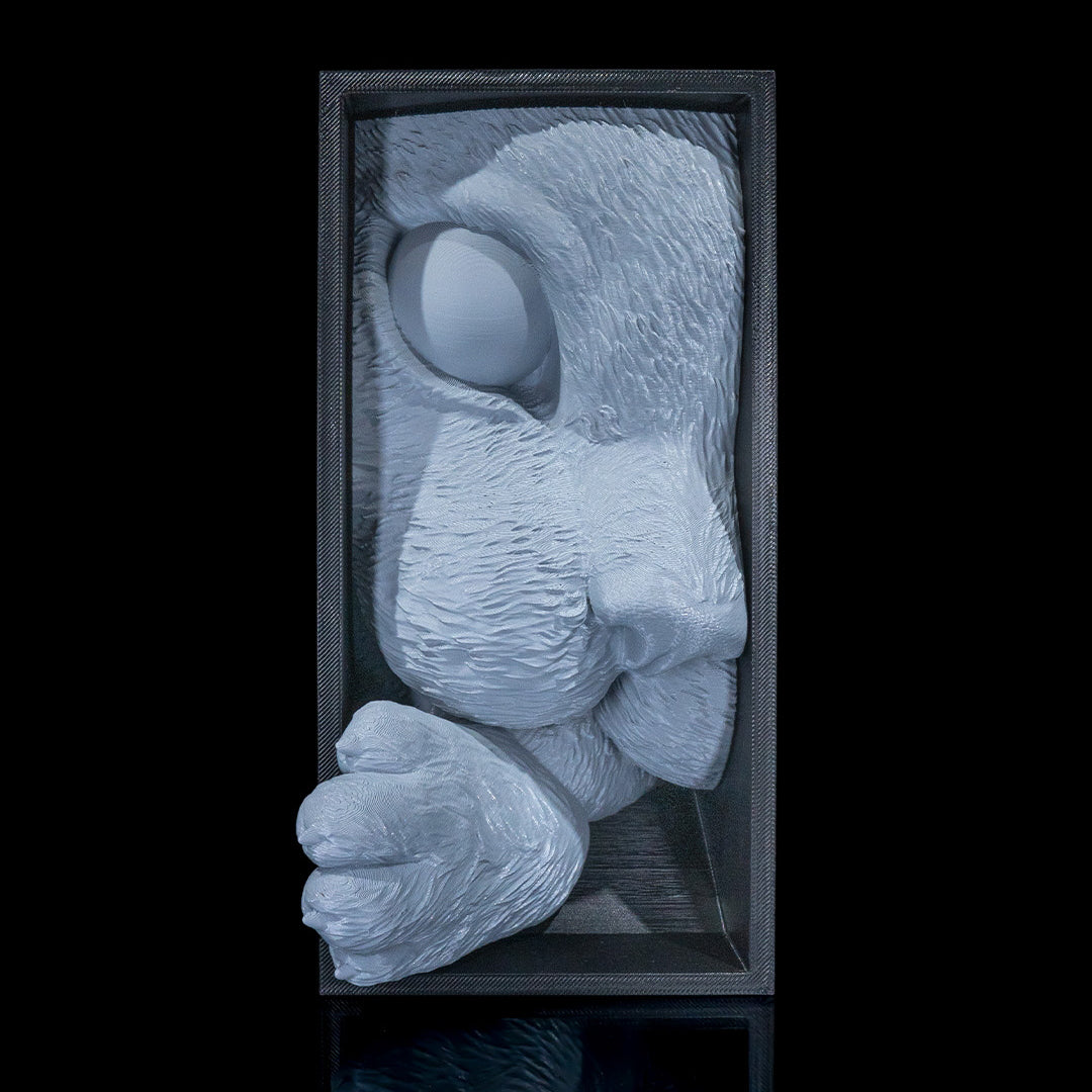 Filamora Studios Cat’s Curiosity Book Nook Shelf