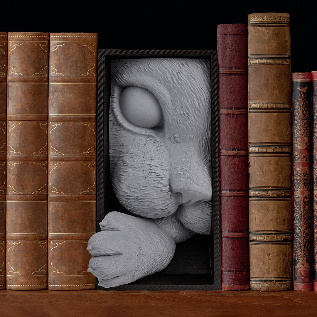 Filamora Studios Cat’s Curiosity Book Nook Shelf