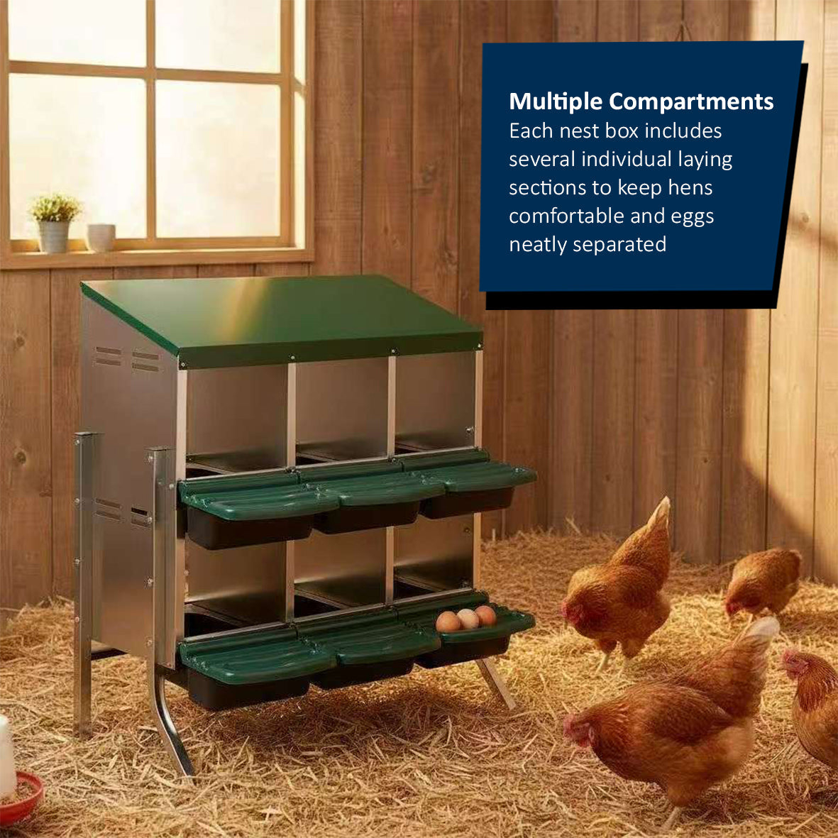 Nicoman Metal Chicken Nest Box – Sturdy, Hygienic & Organised