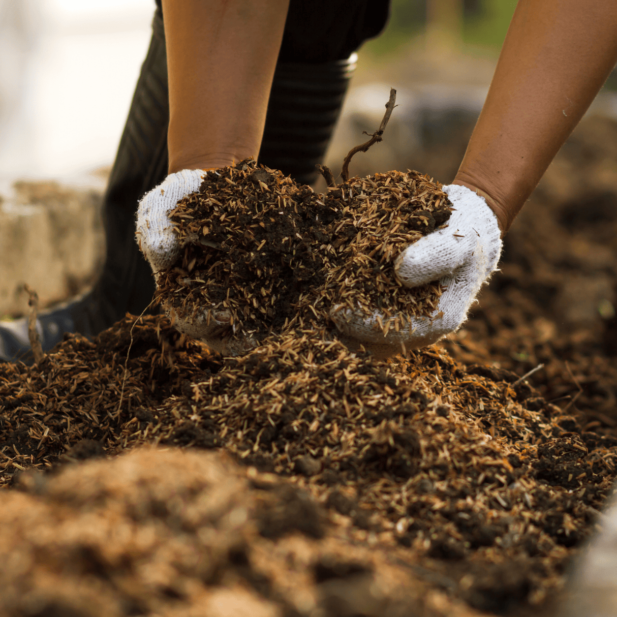 Dandy’s AutumnMix Compost Garden Mulch