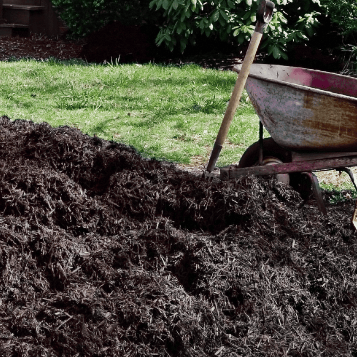 Dandy’s AutumnMix Compost Garden Mulch
