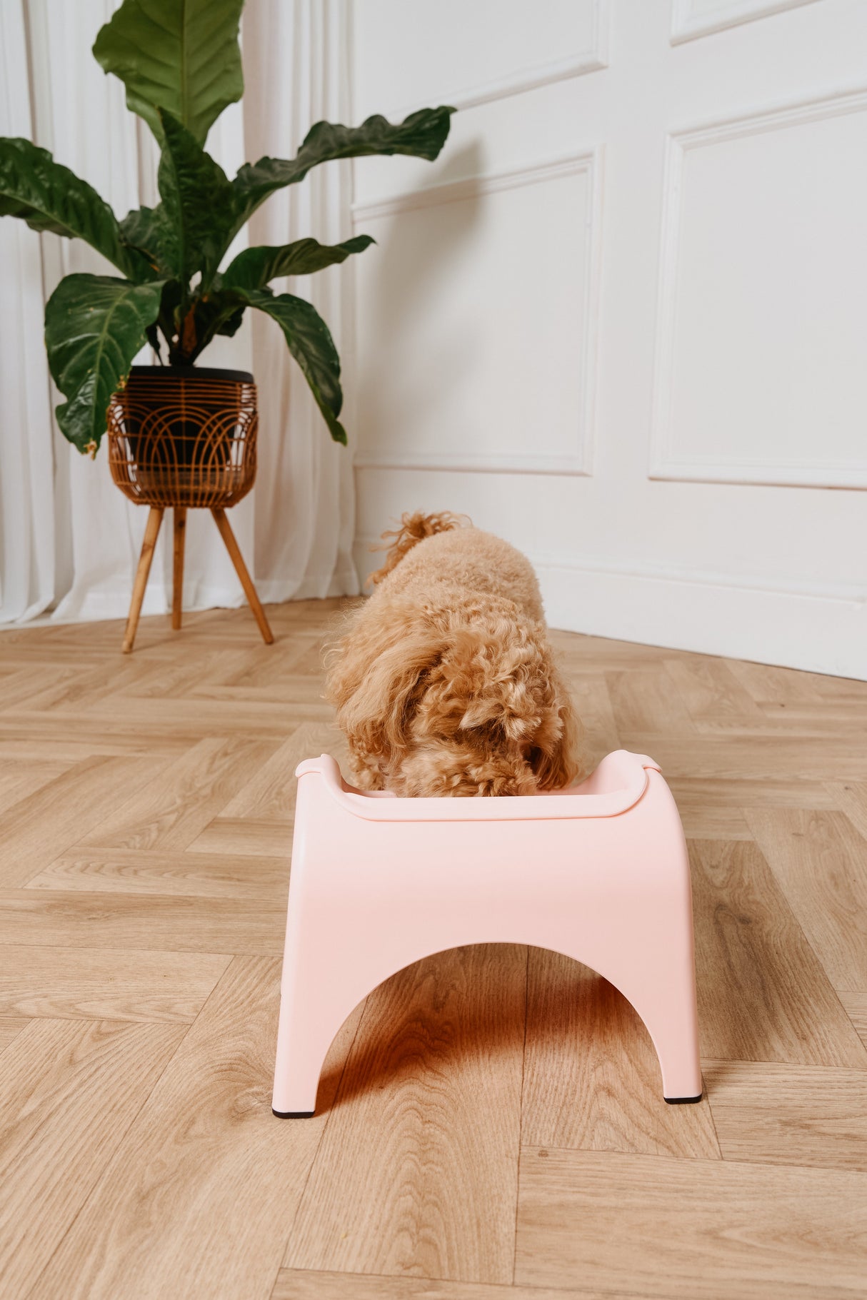EasyEat 2.0 Slow Feeder Bowl for Dogs & Cats - Rose Pink