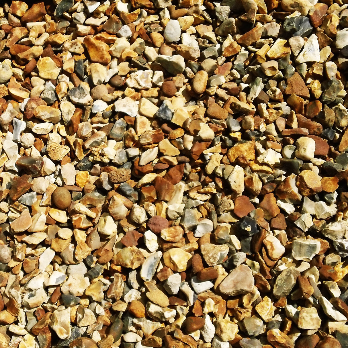 Dandy’s Golden Gravel Chippings