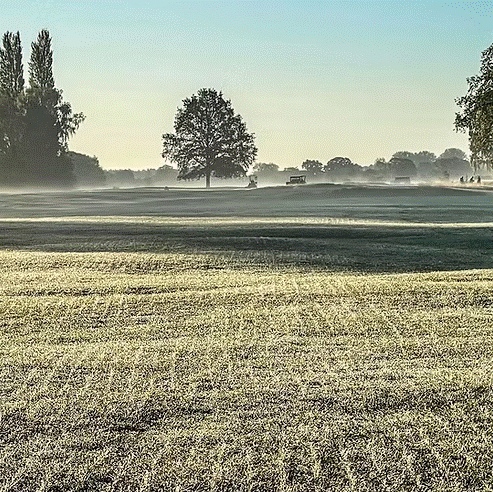 TurfStore HF2 Ryegrass Fairway Overseeder Grass Seed Mix
