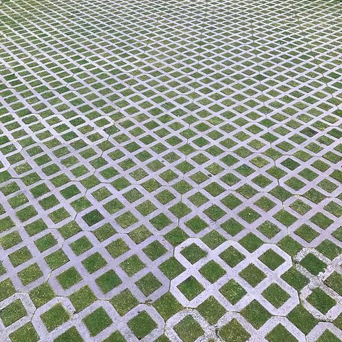 TurfStore HL9 Hexipath Gridding Grass Seed Mix