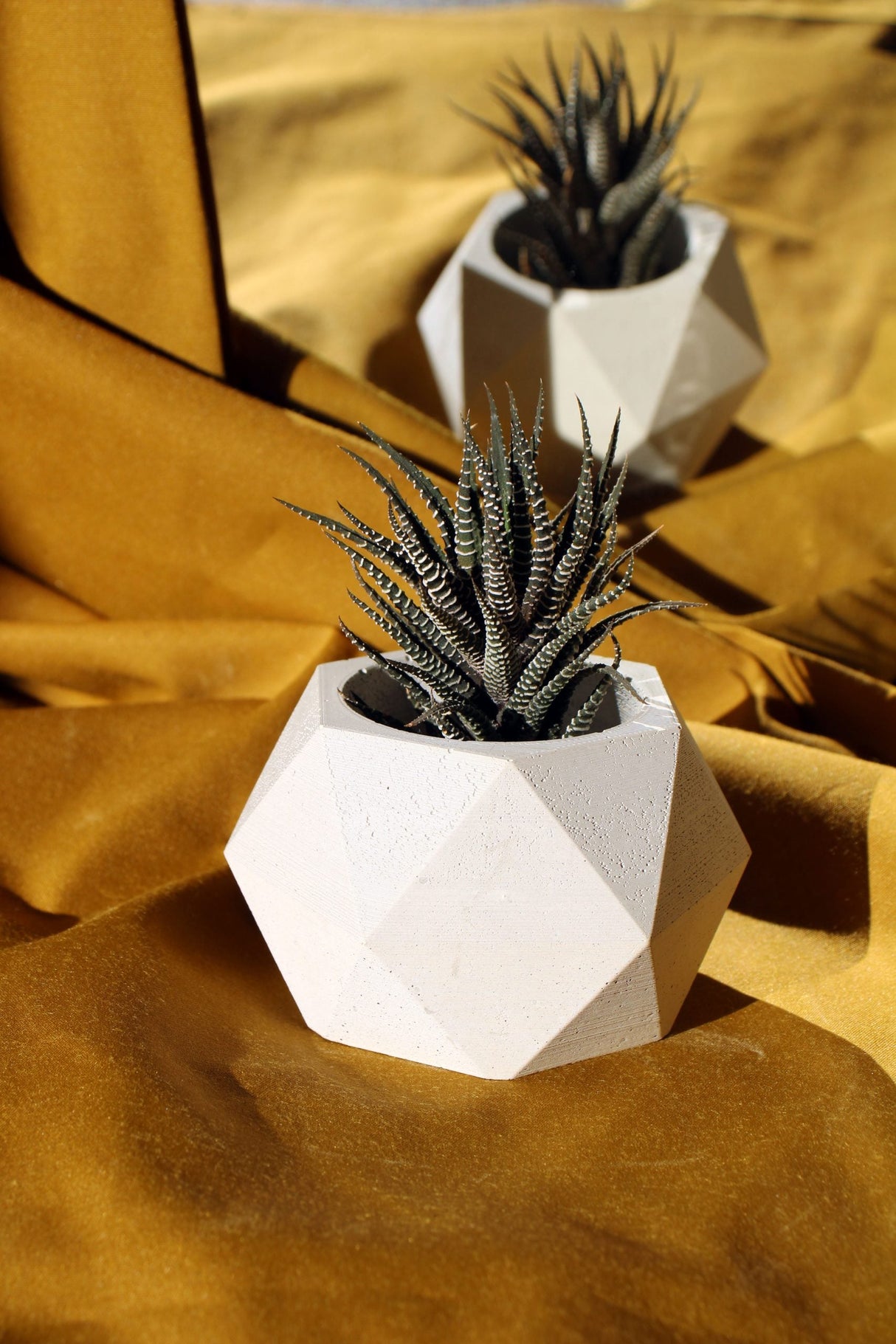 Gloria Home Concrete Hexagonal Plant Pot
