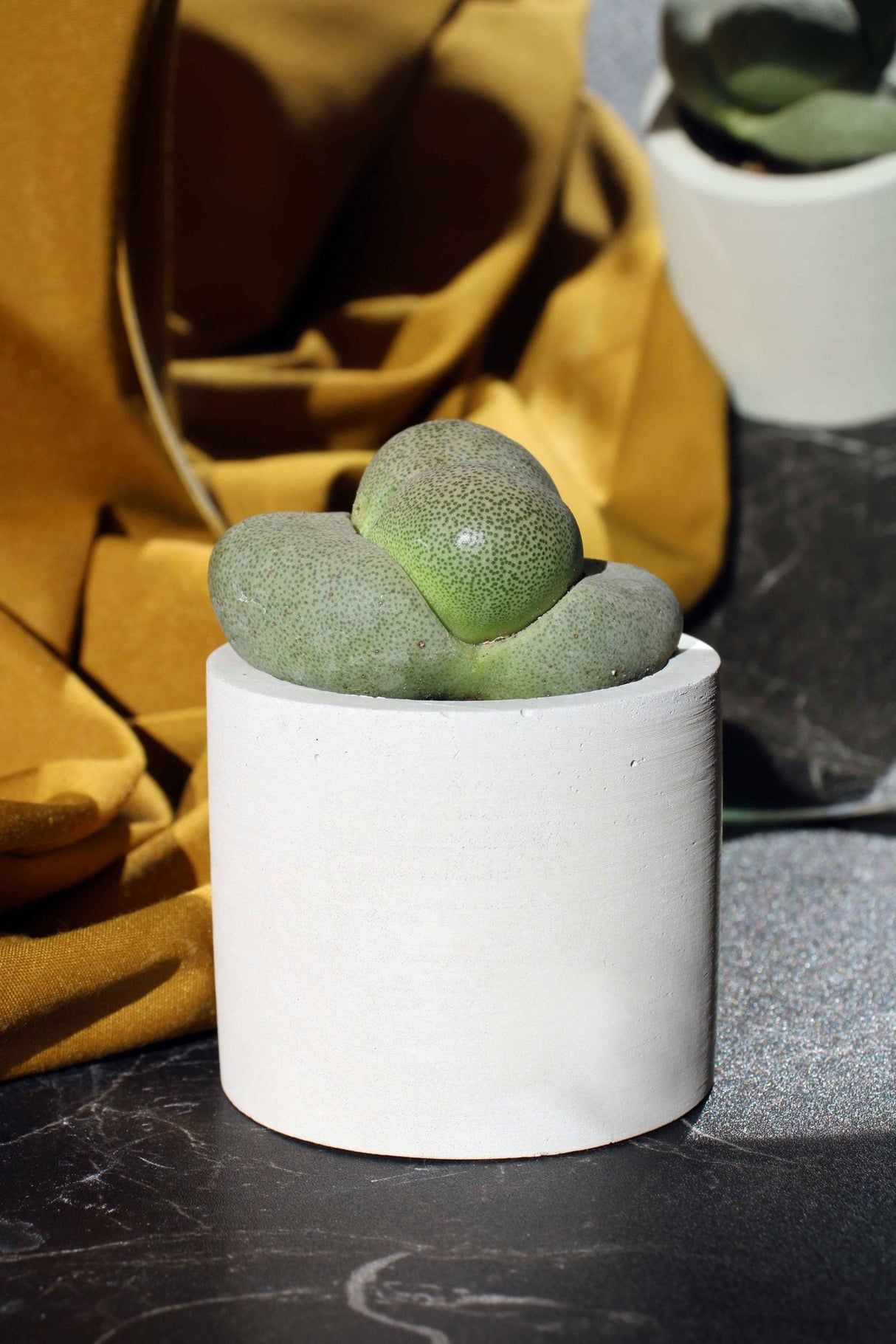 Gloria Home Concrete Cylinder Tealight Holder & Pot