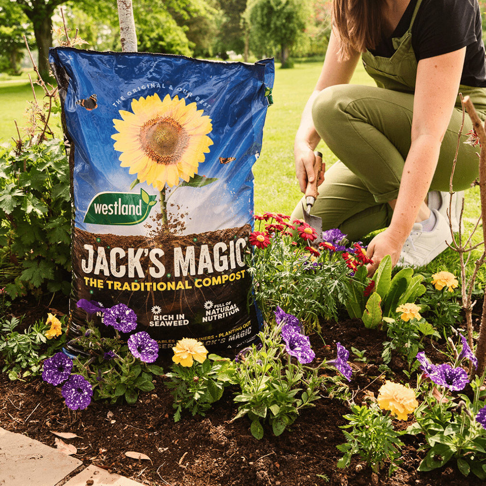 Dandy's Jack's Magic All Purpose Compost Bulk Buy