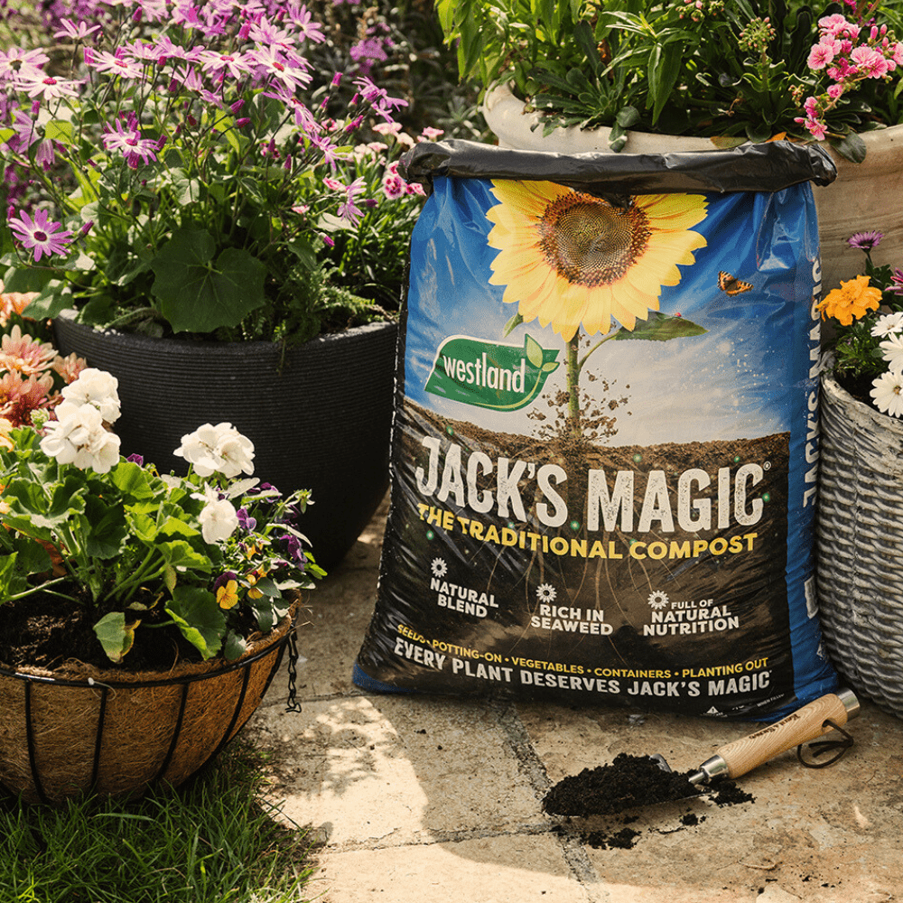 Dandy's Jack's Magic All Purpose Compost Bulk Buy