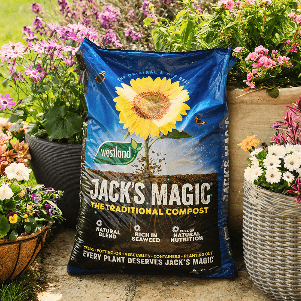 Dandy's Jack's Magic All Purpose Compost Bulk Buy