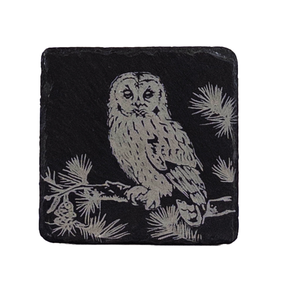 Selbrae House Tawny Owl Single Slate Coaster