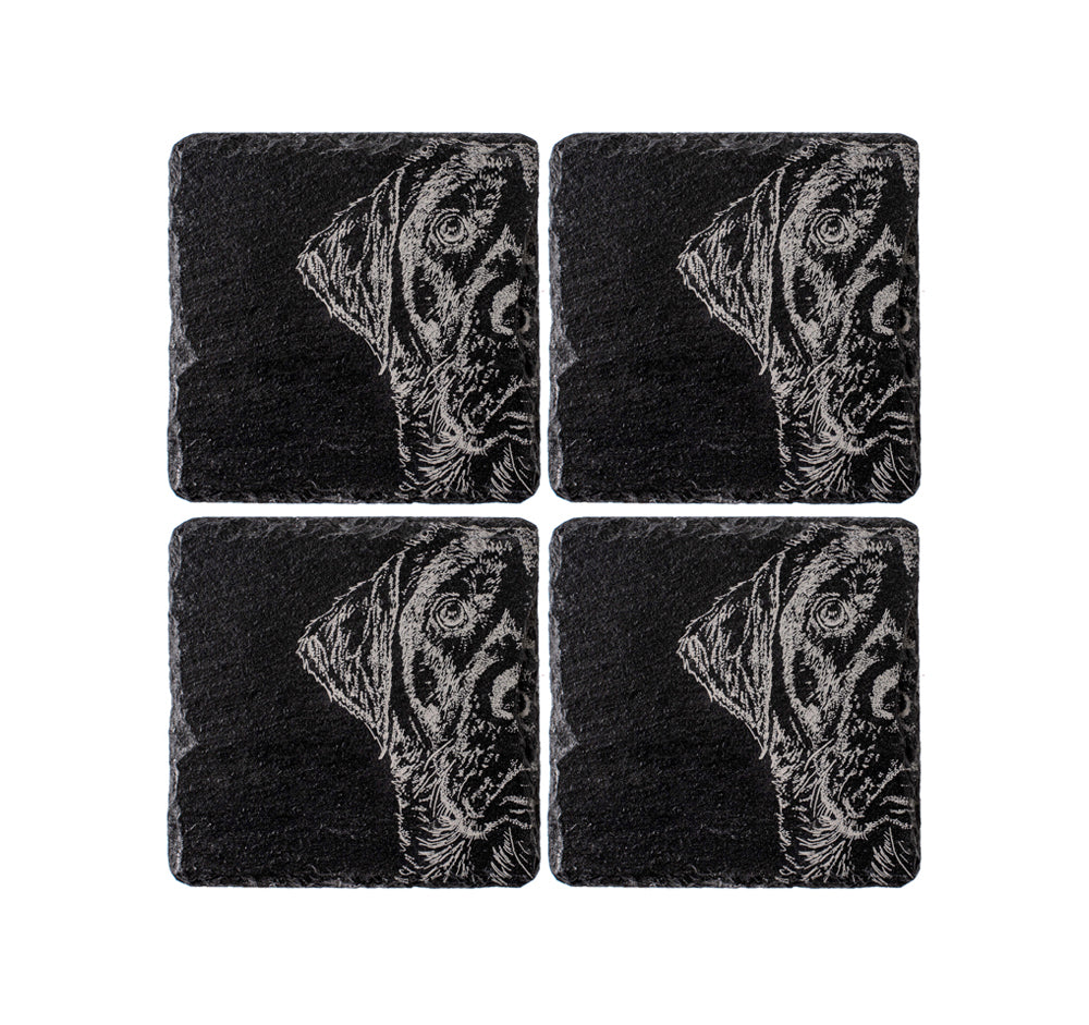 Selbrae House Labrador Slate Coasters - Set of 4