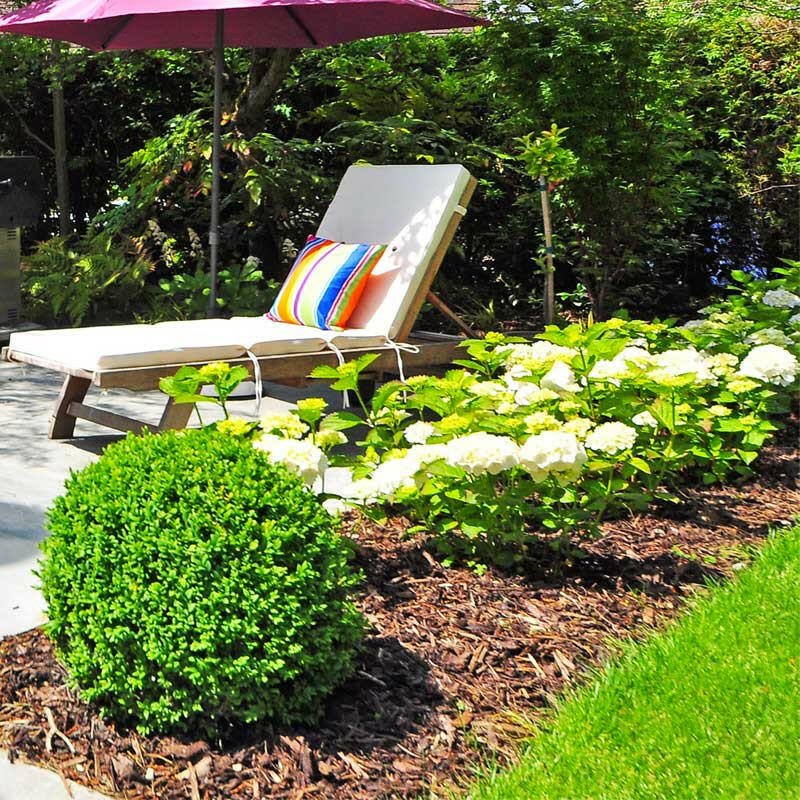 Dandy’s Landscaping Garden Bark Mulch