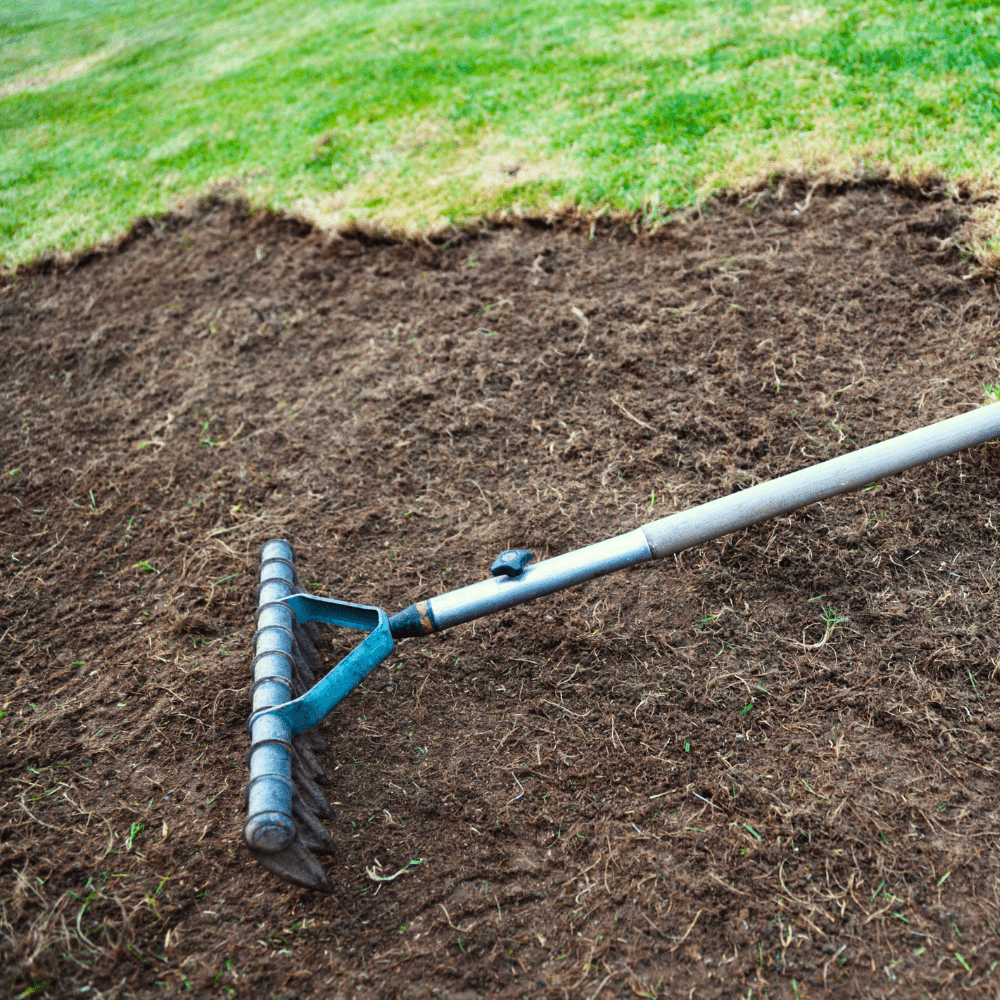 Dandy's Fill & Fix Lawn Patch Repair Blend